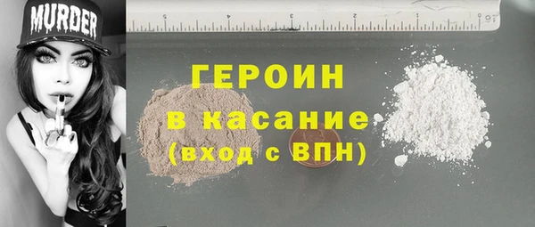 гашик Алексин