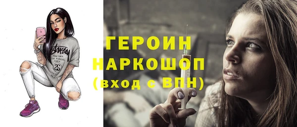 гашик Алексин