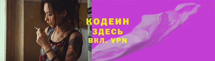 гашик Алексин