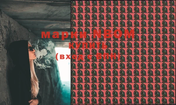 гашик Алексин