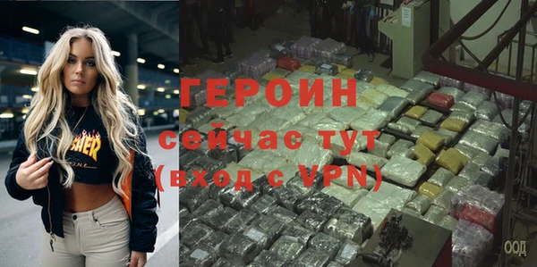 гашик Алексин