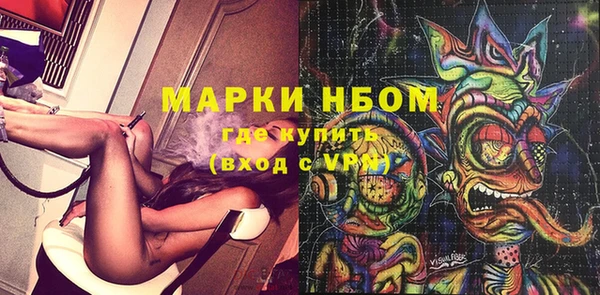 гашик Алексин