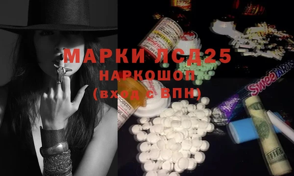 гашик Алексин