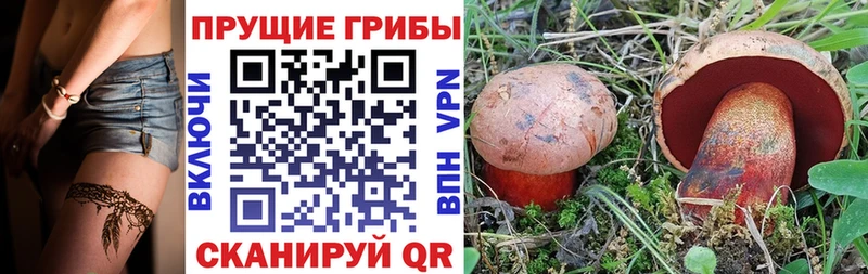 Галлюциногенные грибы прущие грибы  Анжеро-Судженск 